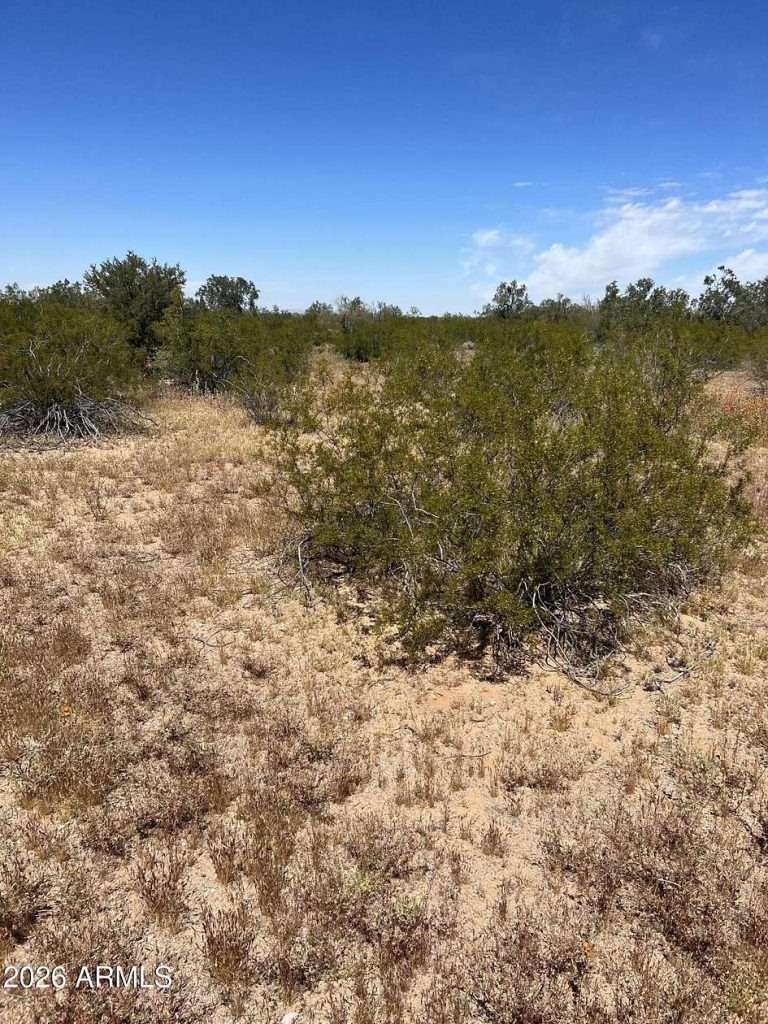 Eloy – 39.87 Acres Near La Osa Data Center Corridor