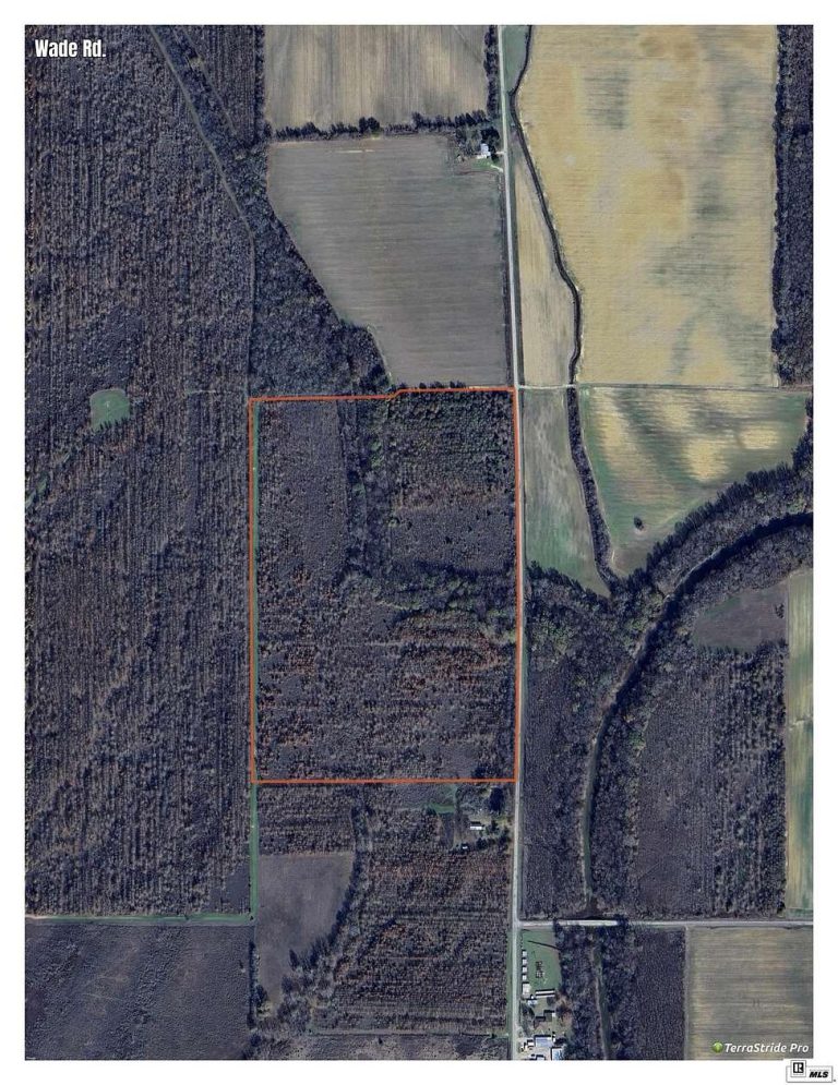 Wade Rd – 60 Acres Near Hyperion Growth Corridor