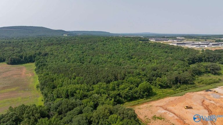 Monroe Rd – 91 Acres Backing Meta / Facebook Data Center
