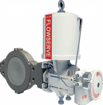 Flowserve