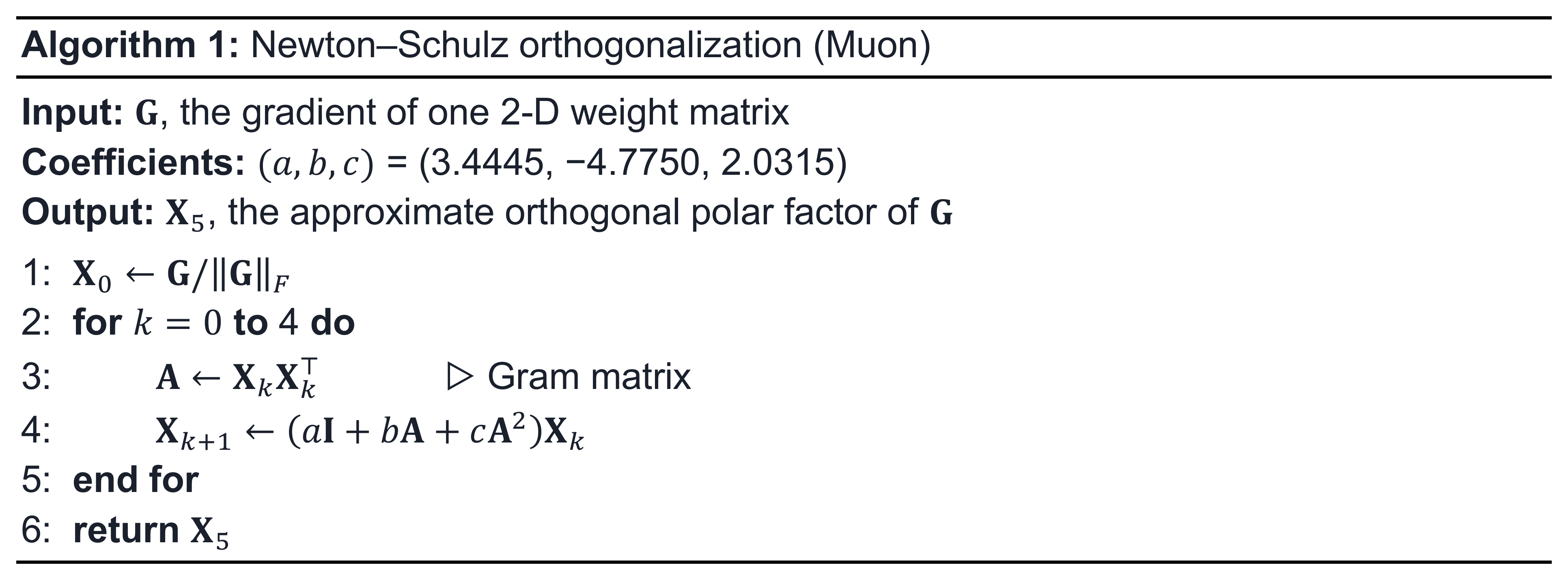 The Newton-Schulz algorithm