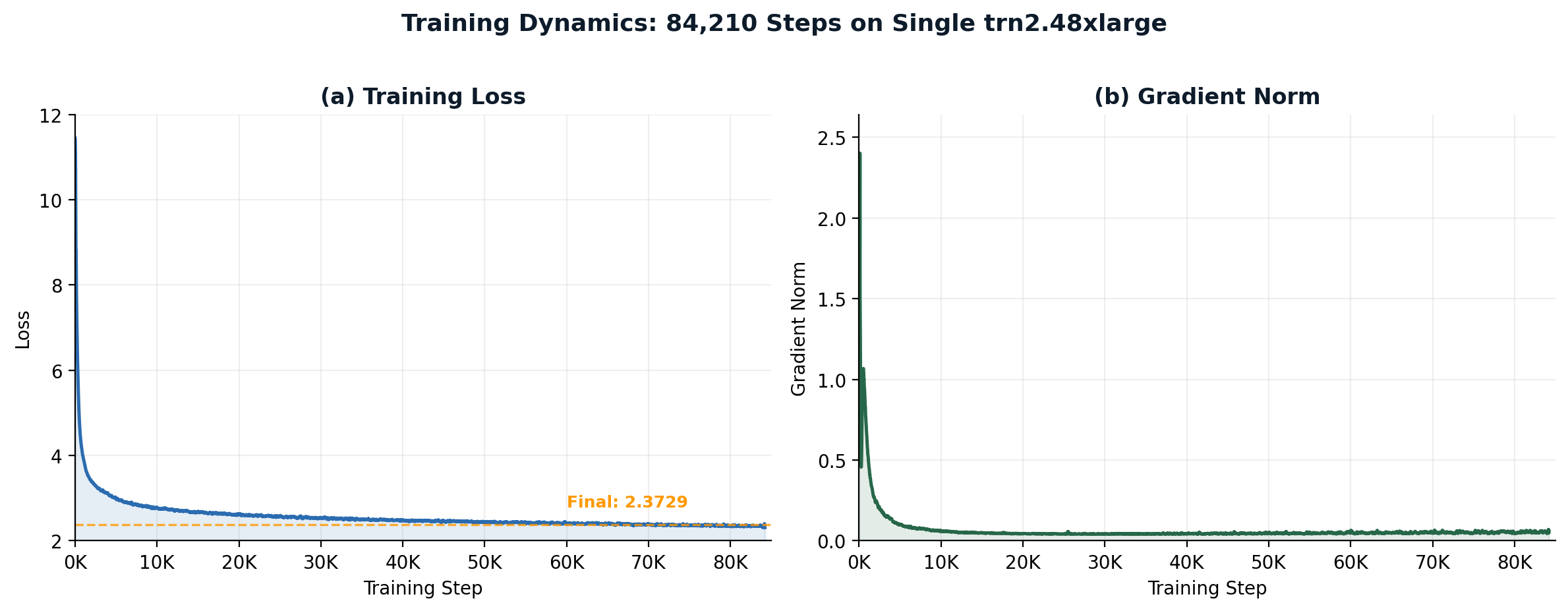 Laplace 3B training loss and gradient norm