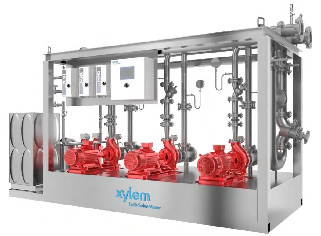 Xylem