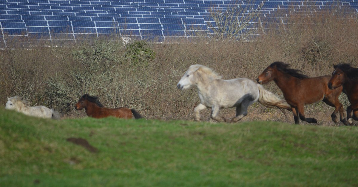 1GW data center proposed alongside solar farm in Norfolk, UK
